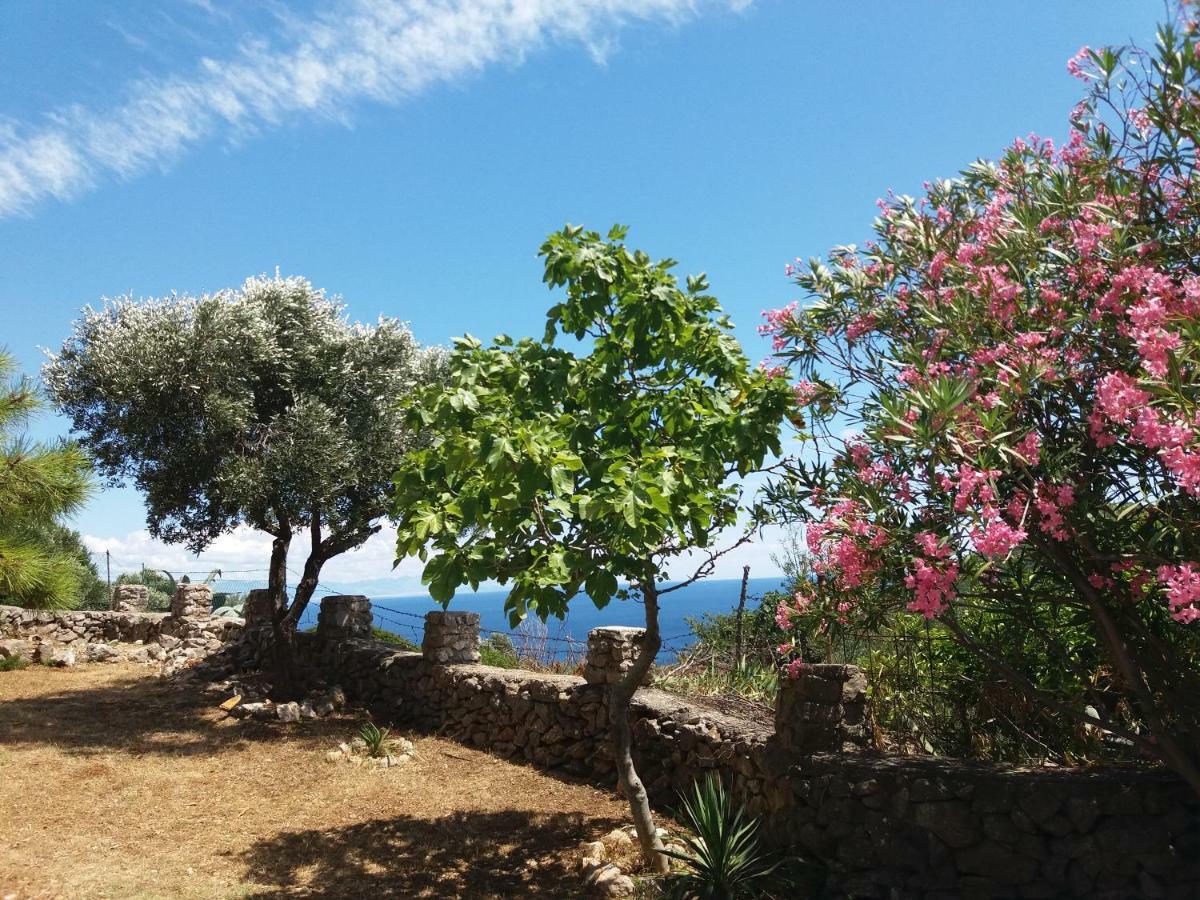 Apartament 4m