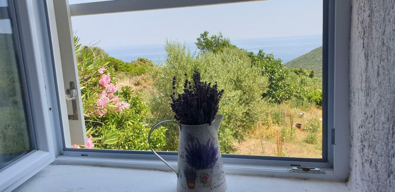 4m Apartament Čunski