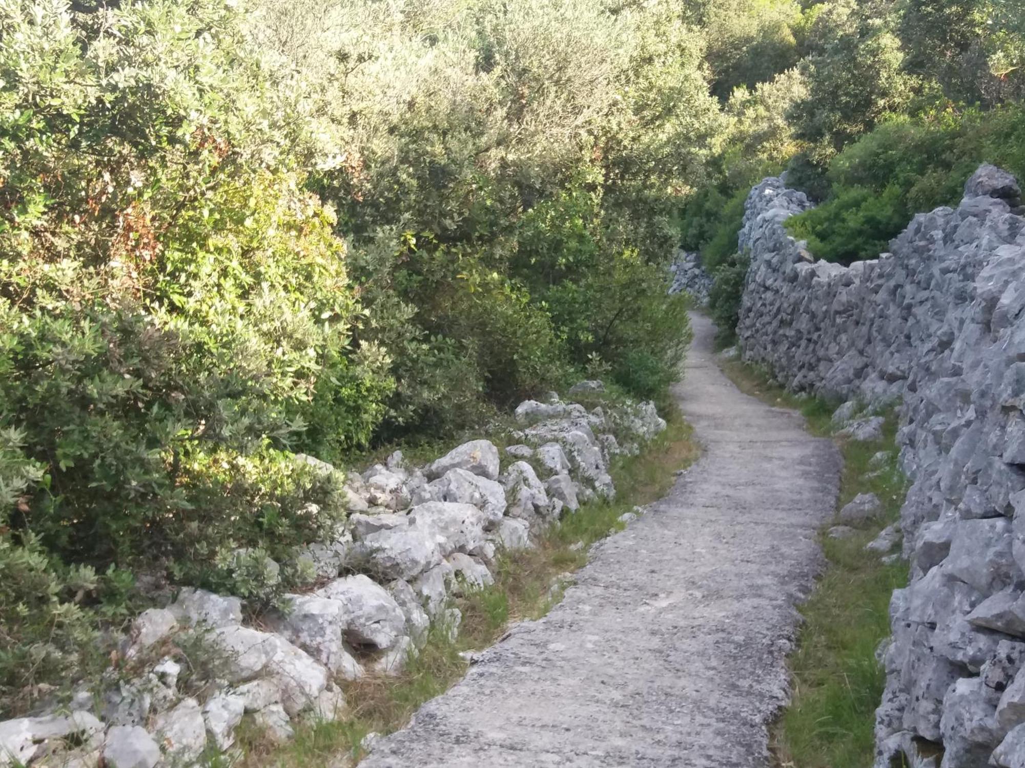 4m Apartman Čunski